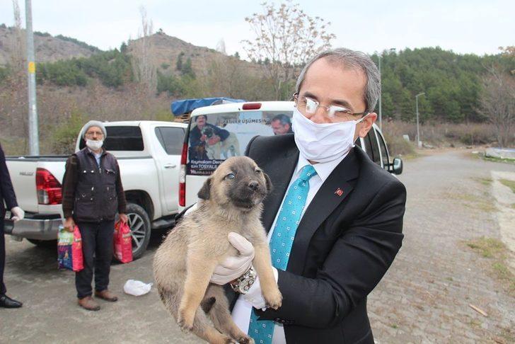 Kaymakam Pişkin sokak hayvanlarına yiyecek bıraktı G2