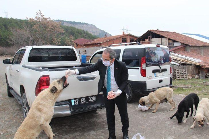 Kaymakam Pişkin sokak hayvanlarına yiyecek bıraktı G3