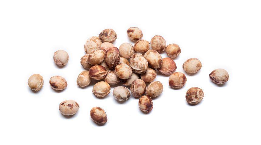 Bu besinler dikkatli tüketilmediğinde ölüme sebep oluyor! Kiraz ve elma...