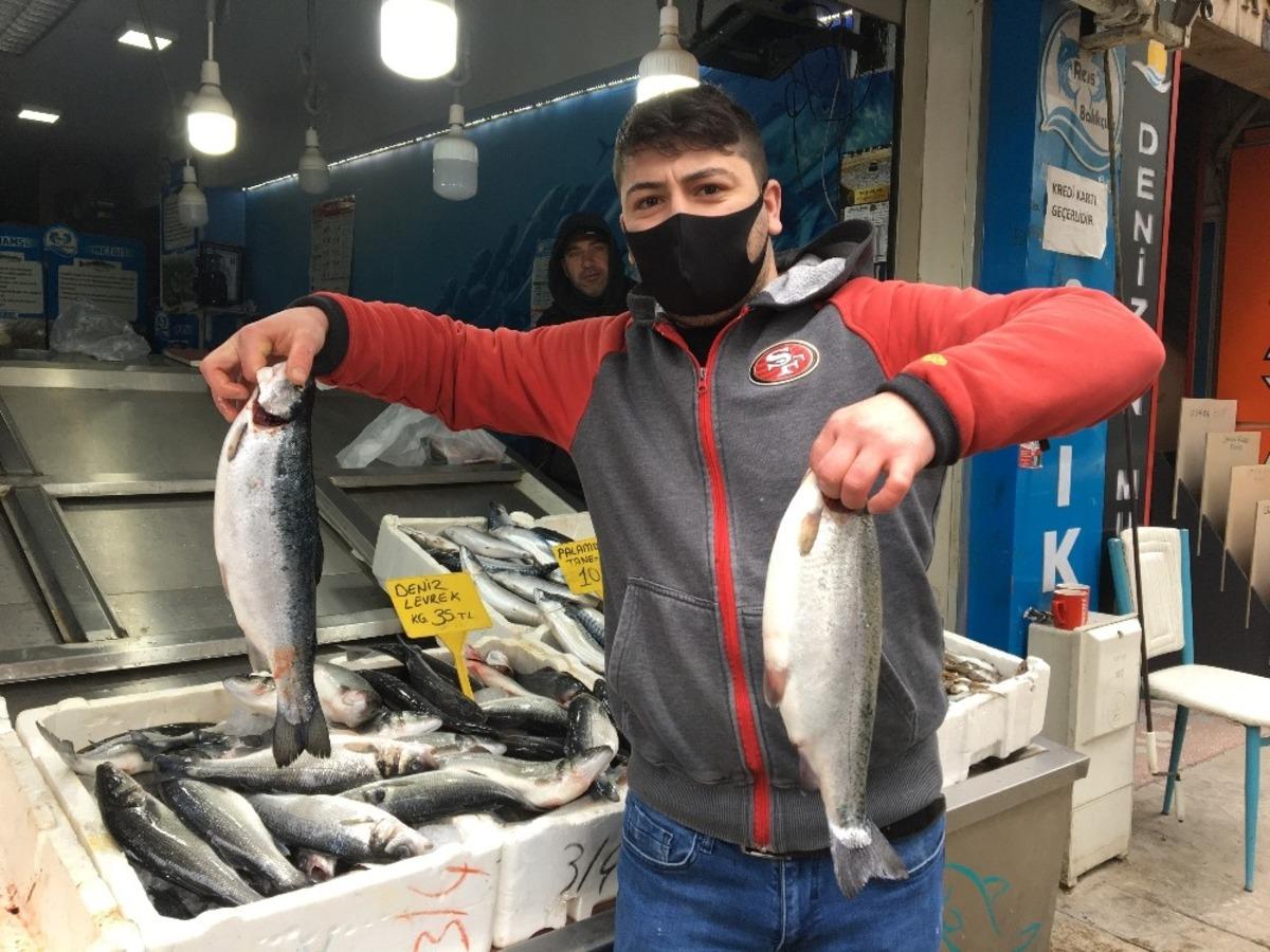 Somon balığı yok satıyor