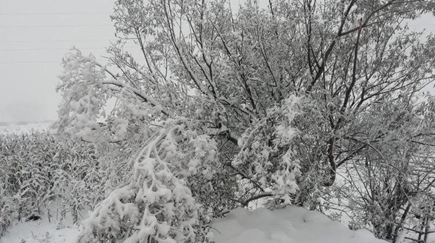 Ordu’da Nisan ayı ortasında kar yağışı