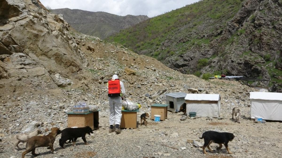 Şemdinli&rsquo;de sokak hayvanları unutulmadı