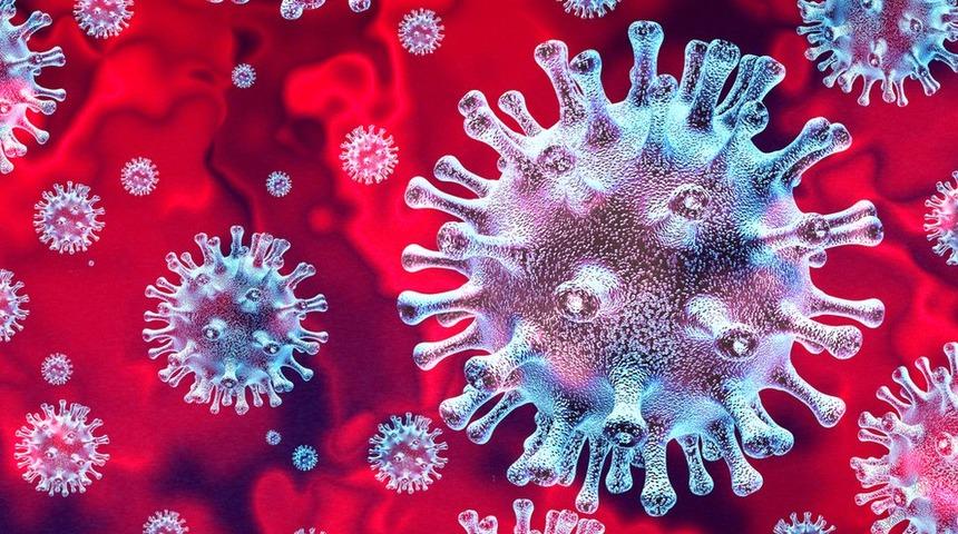 Koronavirüse karşı aşı ve ilaç çalışmaları ne aşamada?