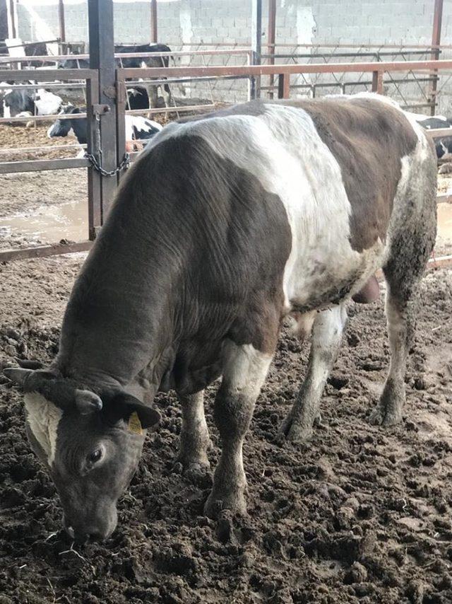 Develi Belediye Meclis &Uuml;yesi İsmail Yazıcı&rsquo;dan &Ouml;rnek Davranış 1