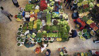 Üretici ile market fiyatı arasındaki fark giderek artıyor! Rekor kabakta