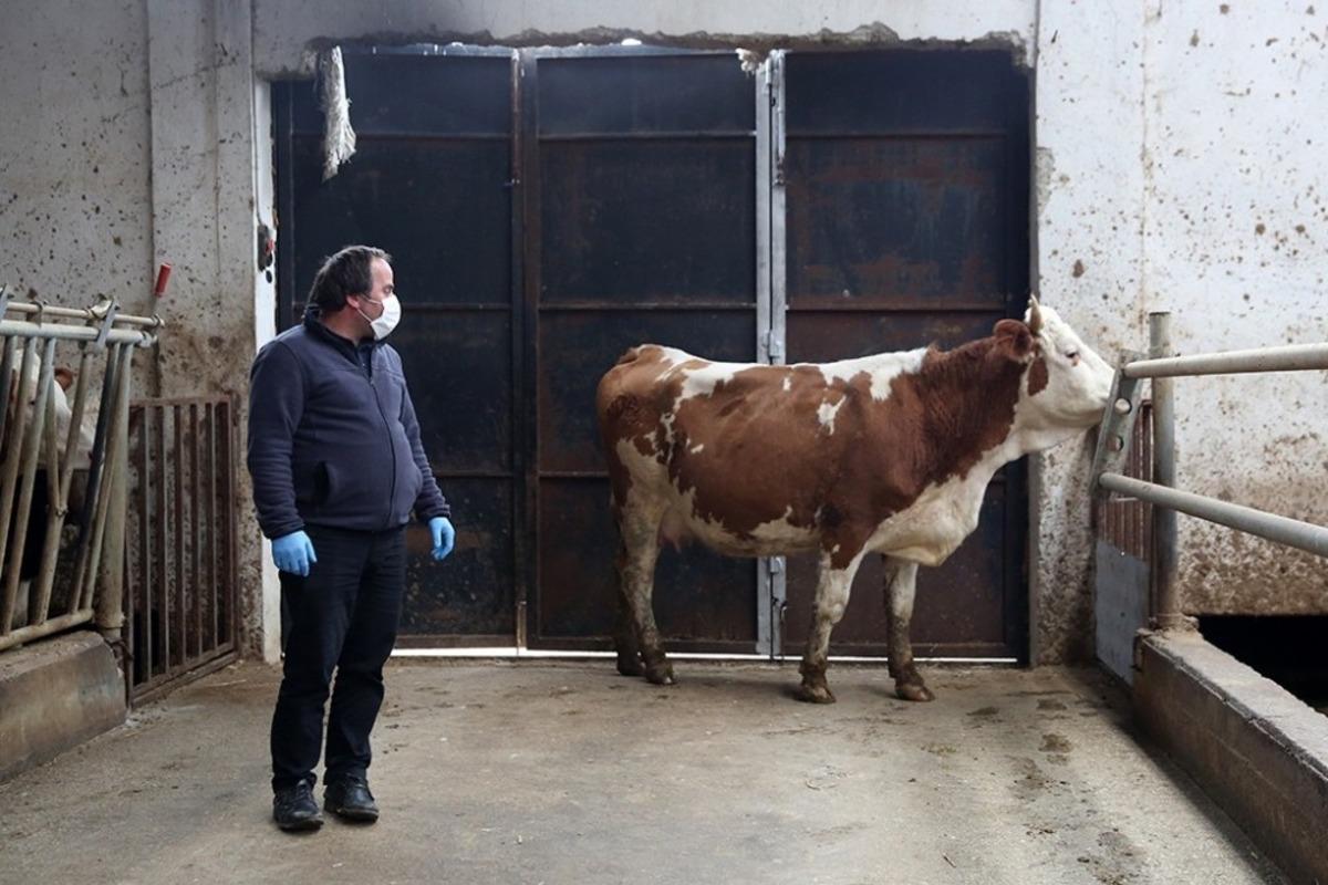 Bayburtlu &ccedil;ift&ccedil;ilerden Milli Dayanışma Kampanyası&rsquo;na tam destek