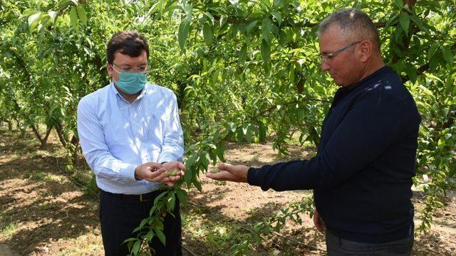 Kaymakam Şahin tarım üreticilerini ziyaret etti