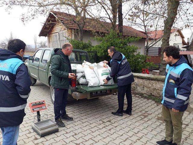 Üreticiye ücretsiz yonca tohumu desteği