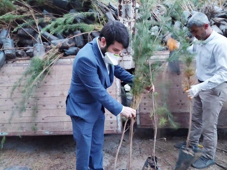 Boşatlılar Derneğinden fidan dağıtımı G3