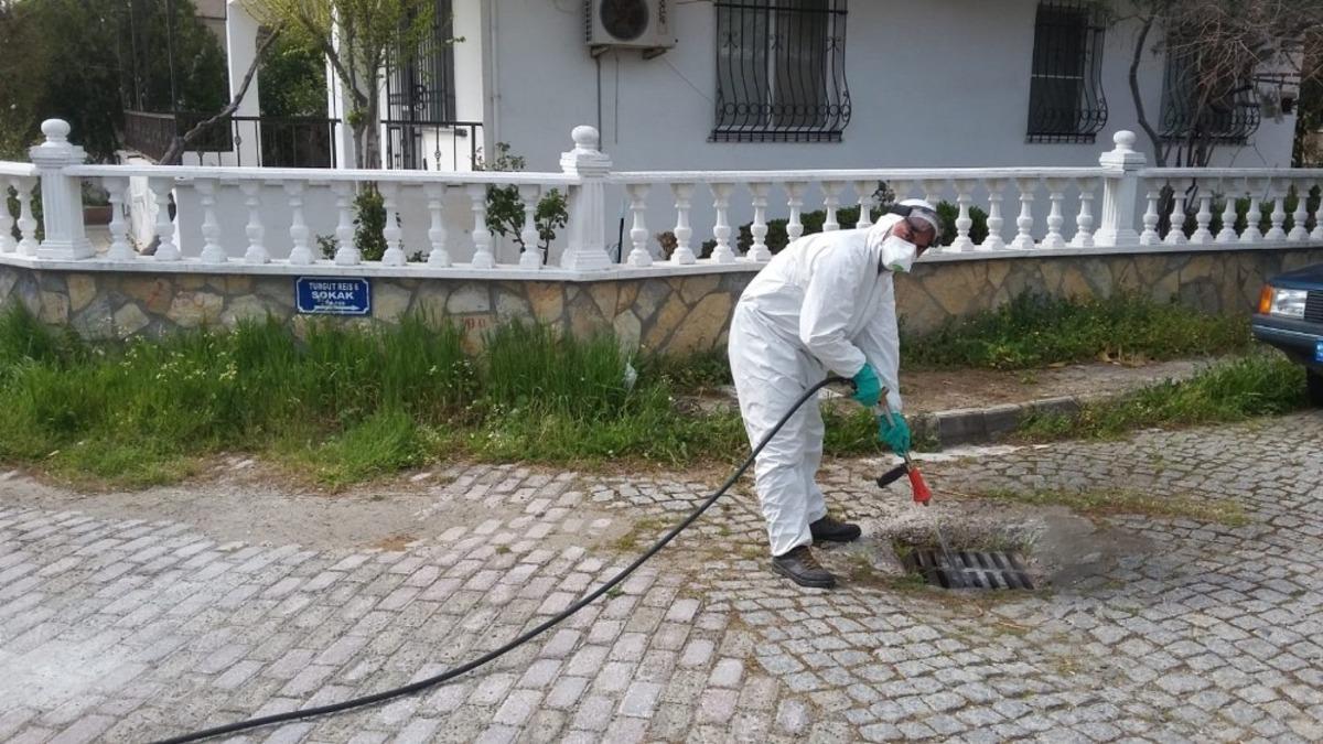 Sineksiz bir Edremit i&ccedil;in m&uuml;cadele devam ediyor