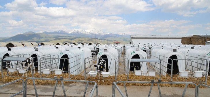 Kayseri Şeker ’Pandoğa’ ile bir ilke imza attı G2