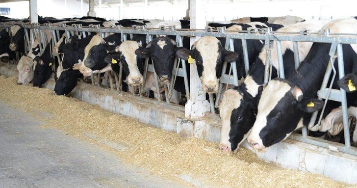 Kayseri Şeker ’Pandoğa’ ile bir ilke imza attı G3