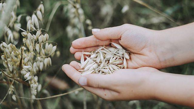 Tarım-GFE aylık yüzde 2,49 arttı