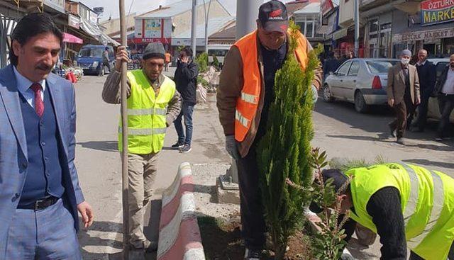 Taşlıçay Belediyesinden, ağaçlandırma çalışmaları