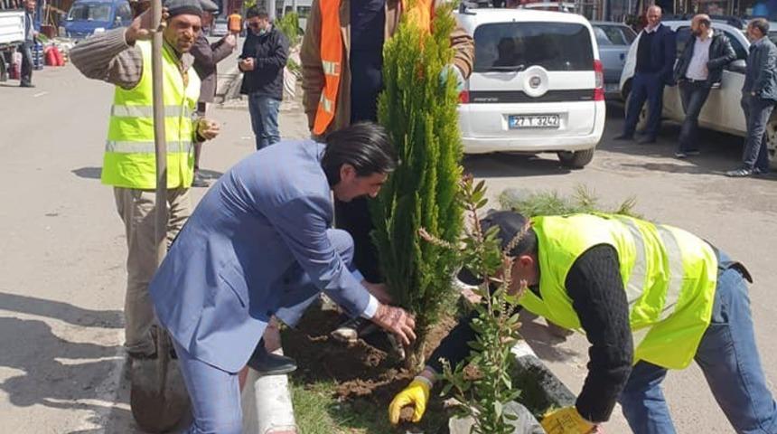 Taşlı&ccedil;ay Belediyesinden, ağa&ccedil;landırma &ccedil;alışmaları