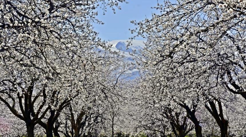 Doğu Anadolu’da sıcaklıklar mevsim normalleri civarında seyredecek