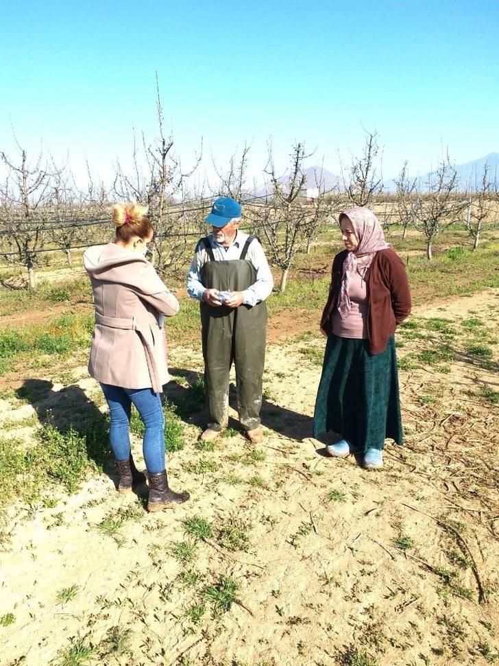 Karaman Ziraat Odası don riskine karşı üreticileri uyardı G3