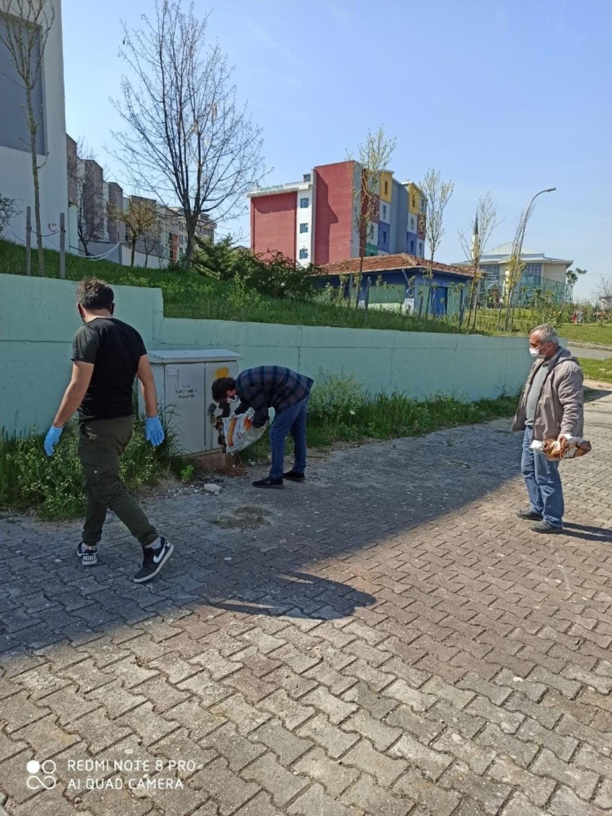 İzmit&rsquo;te sokak hayvanları a&ccedil; kalmıyor