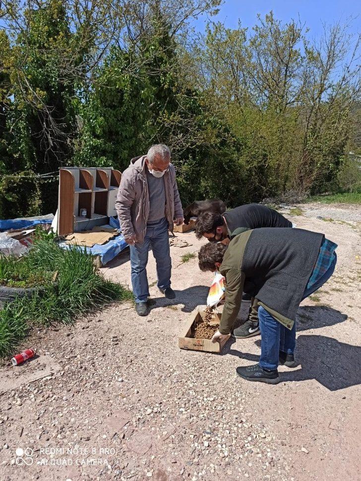 İzmit’te sokak hayvanları aç kalmıyor G2