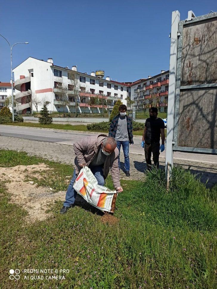 İzmit’te sokak hayvanları aç kalmıyor G3