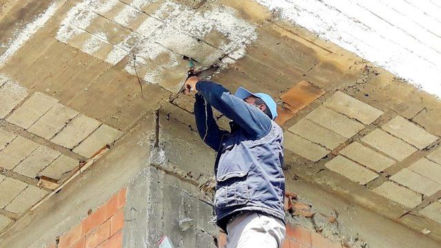 Tele takılan ebabil kuşunu belediye çalışanları kurtardı