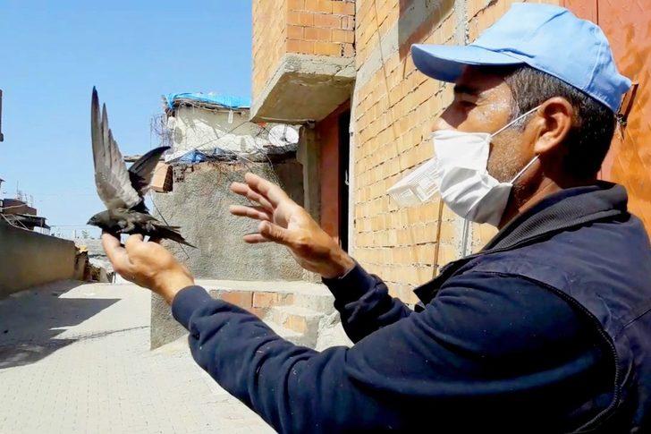 Tele takılan ebabil kuşunu belediye çalışanları kurtardı G3