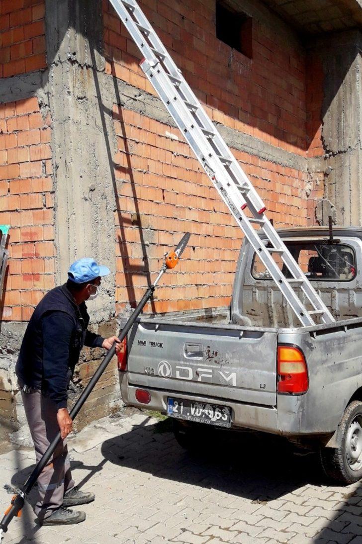 Tele takılan ebabil kuşunu belediye çalışanları kurtardı G4