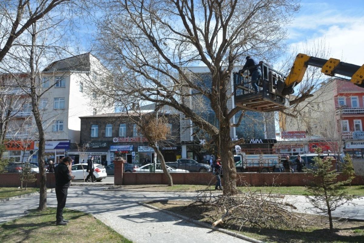 Milli Egemenlik Parkı&rsquo;ndaki ağa&ccedil;lar budanıyor