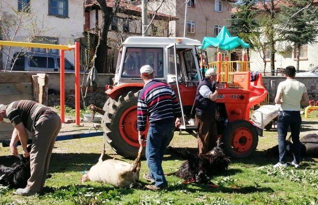 Korona virüsün bitmesi için kurban kesip dua ettiler