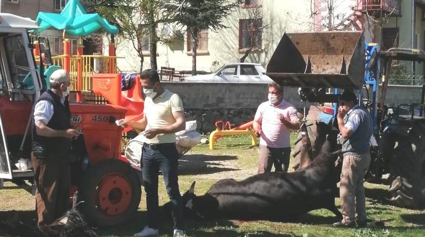 Korona vir&uuml;s&uuml;n bitmesi i&ccedil;in kurban kesip dua ettiler