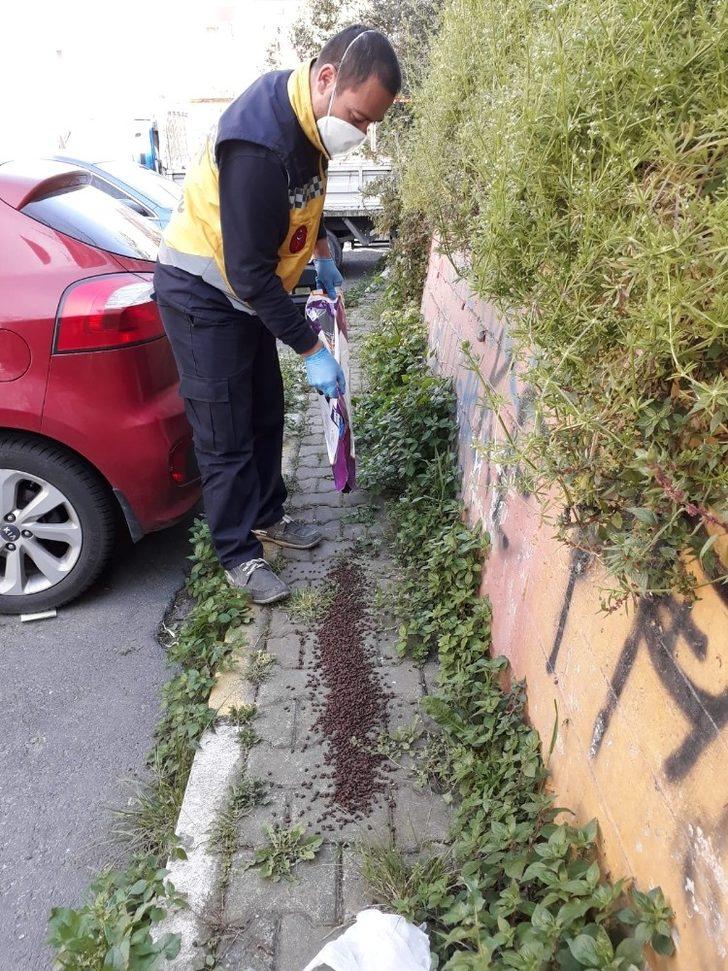 Eyüpsultan’da sokak hayvanları unutulmadı G2