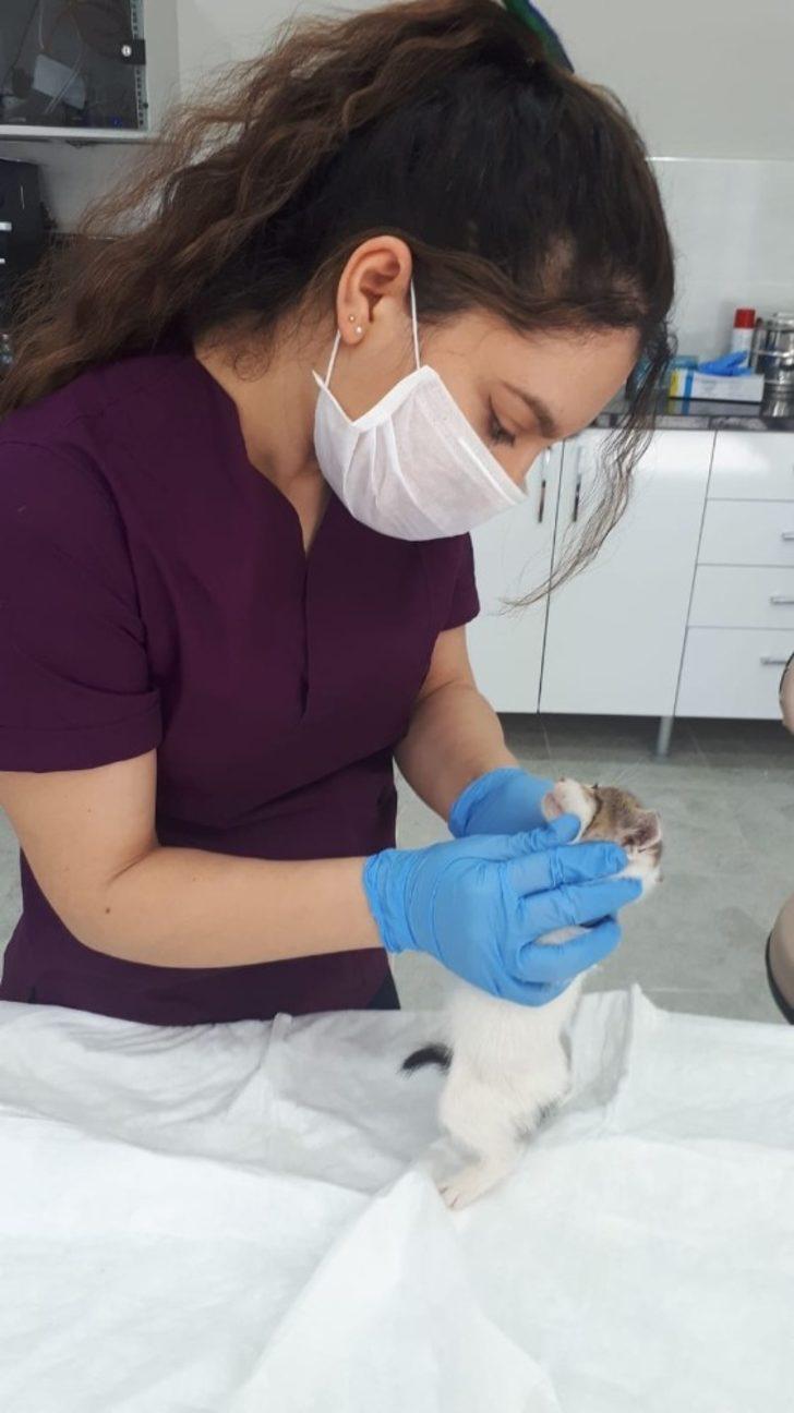 Eyüpsultan’da sokak hayvanları unutulmadı G4