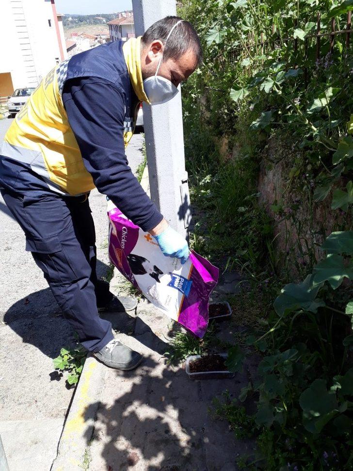 Eyüpsultan’da sokak hayvanları unutulmadı G5