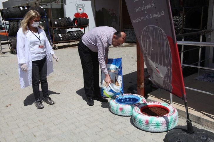Kaymakam Köken’den sokak hayvanlarına mama, su ve yem G1