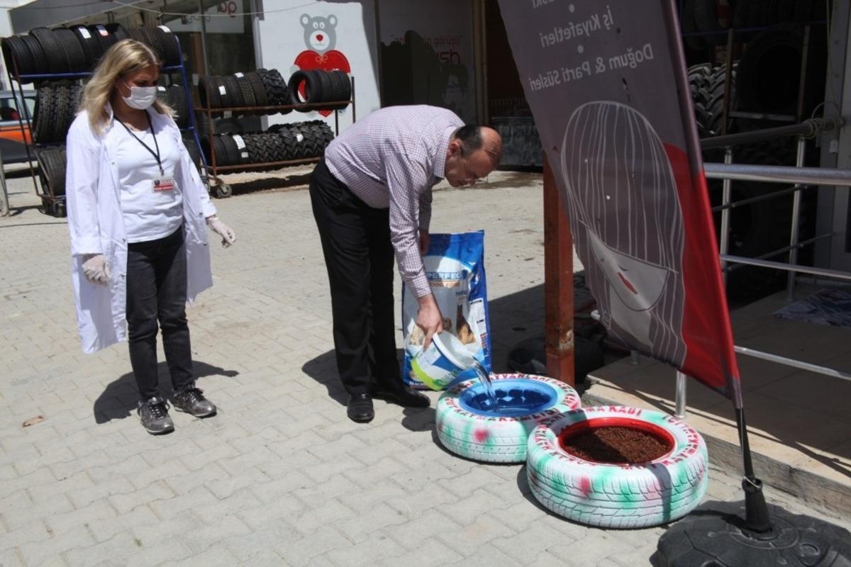 Kaymakam K&ouml;ken&rsquo;den sokak hayvanlarına mama, su ve yem