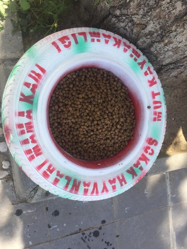 Kaymakam Köken’den sokak hayvanlarına mama, su ve yem G4