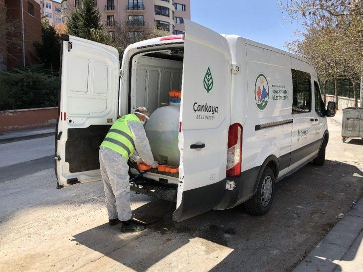 Çankaya Belediyesi, sokaktaki can dostları ihmal etmedi G2