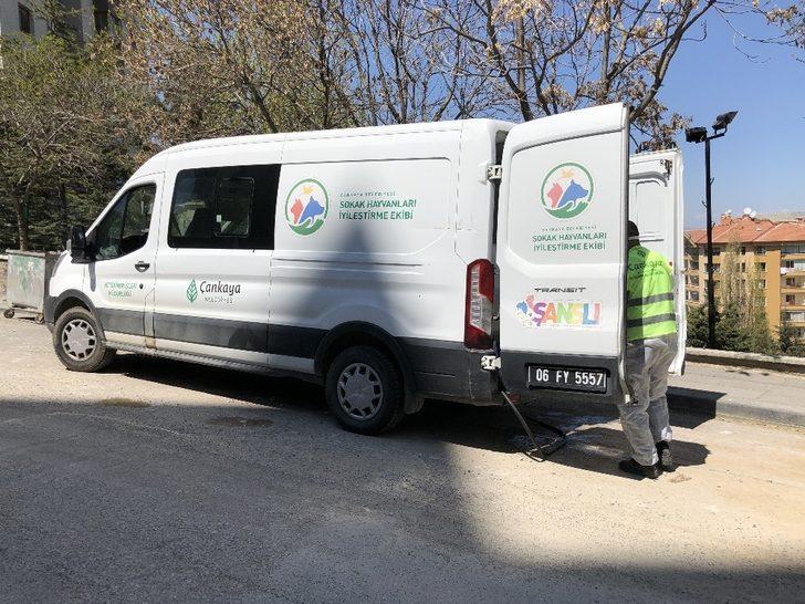 Çankaya Belediyesi, sokaktaki can dostları ihmal etmedi G4