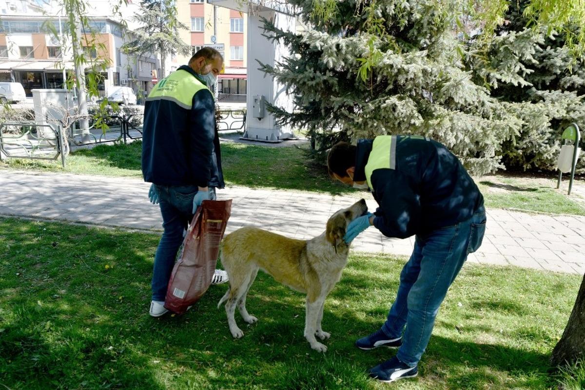 Tepebaşı&rsquo;ndaki sokak hayvanlarının imdadına yetişiyorlar