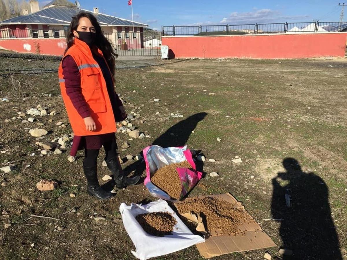 Sarıkamış Kaymakamlığı sokak hayvanları i&ccedil;in mama ve su bıraktı