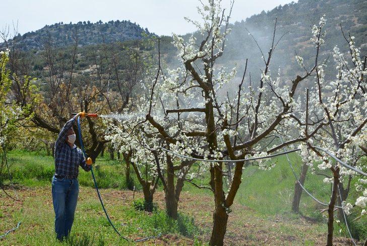 Korkuteli kurallara uydu, ihtiyaçlar eve servis edildi G1