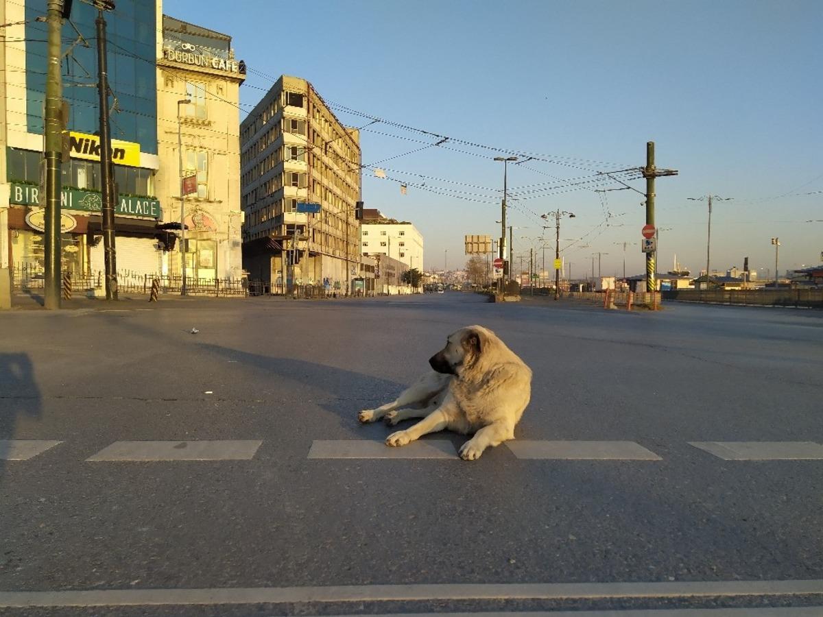 İstanbul'da bu sabah! Sokaklar, caddeler onlara kaldı