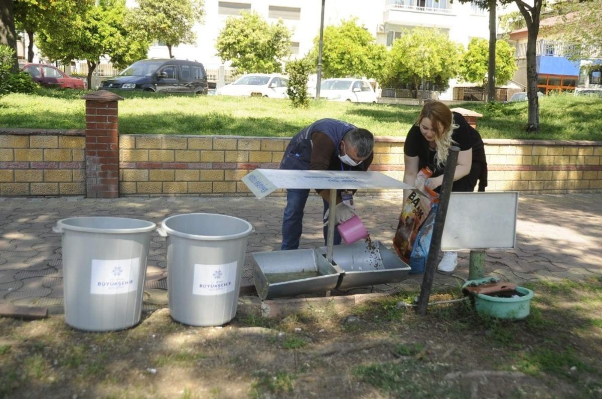Başkanlardan sokak hayvanlarına destek