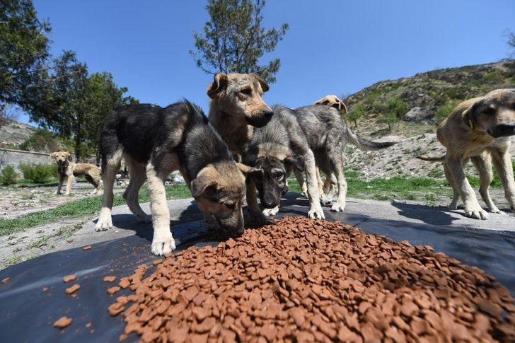 Vatandaş evde kaldı, Altındağ Belediyesi yardıma koştu G4