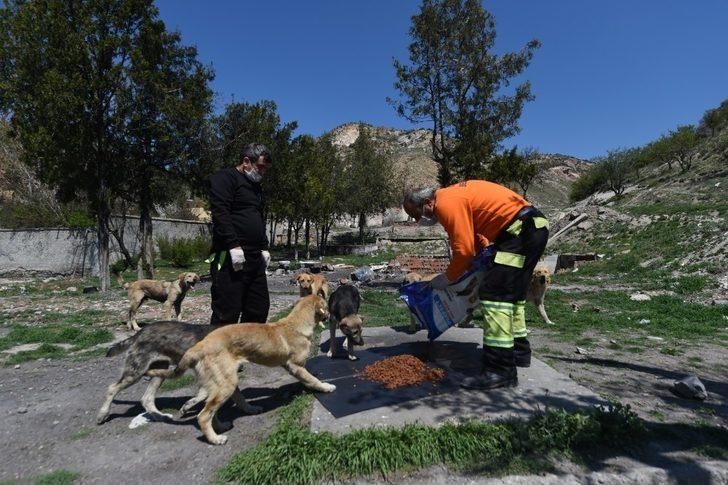 Vatandaş evde kaldı, Altındağ Belediyesi yardıma koştu G5