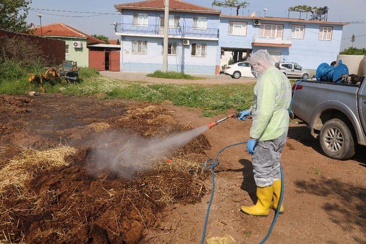 Efeler Belediyesi’nden haşerelere geçit yok G3