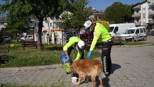 Fethiye’de polis, sokak hayvanlarına mama bıraktı