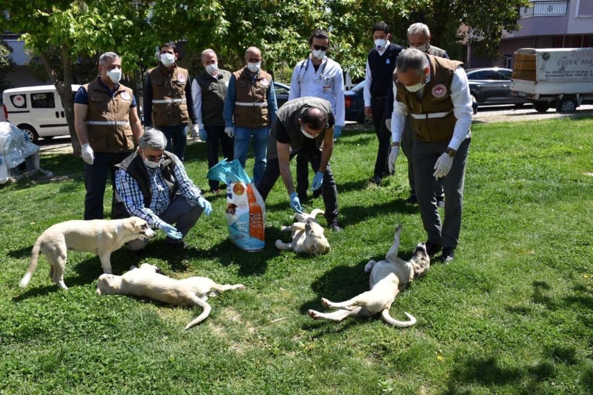 Sokak hayvanları unutulmadı