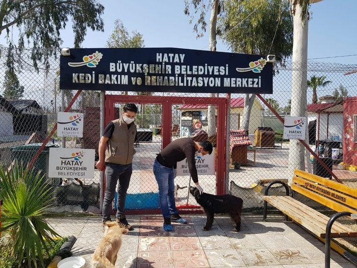 Hatay’da sokak hayvanları unutulmadı G2