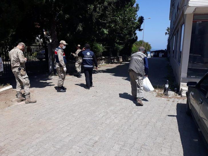 Hatay’da sokak hayvanları unutulmadı G3